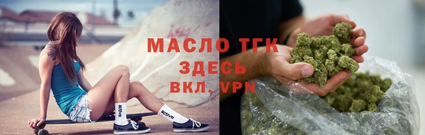 стаф Тайга