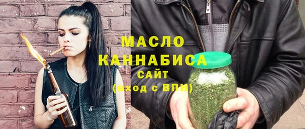 стаф Тайга