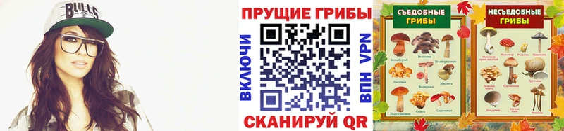 Галлюциногенные грибы Psilocybine cubensis  наркошоп  Красный Холм 